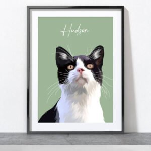 Hudson Cat
